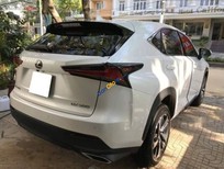 Bán Lexus NX 2019 - Bán Lexus NX năm 2019, màu trắng, nhập khẩu nguyên chiếc