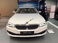 Bán xe oto BMW 5 Series 520i 2018 - Bán ô tô BMW 5 Series 520i đời 2018, màu trắng, nhập khẩu nguyên chiếc