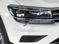 Bán Volkswagen Tiguan 2018 - Bán xe Volkswagen Tiguan năm sản xuất 2018, màu trắng, nhập khẩu