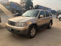 Bán Ford Escape   2004 - Cần bán xe Ford Escape năm 2004, màu vàng số tự động