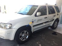 Ford Escape 2003 - Bán ô tô Ford Escape năm sản xuất 2003, màu trắng, xe nhập