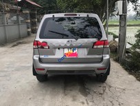 Ford Escape  XLS 2013 - Bán Ford Escape XLS sản xuất 2013, màu bạc, nhập khẩu  