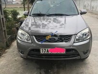 Ford Escape XLS 2012 - Bán ô tô Ford Escape XLS sản xuất năm 2012, màu bạc, xe nhập còn mới, giá chỉ 430 triệu