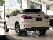 Bán xe oto Lexus NX 300 2019 - Xe Lexus NX 300 năm sản xuất 2019, màu trắng, nhập khẩu chính chủ