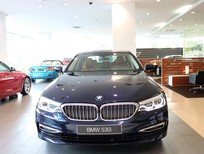 Cần bán BMW 5 Series 530i 2019 - Bán BMW 5 Series 530i năm 2019, nhập khẩu