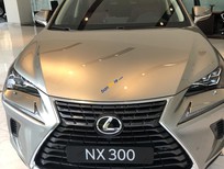 Cần bán Lexus NX NX300 2019 - Bán xe Lexus NX NX300 sản xuất năm 2019, màu xám, nhập khẩu  