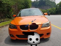 BMW 5 Series 2007 - Bán xe BMW 5 Series năm sản xuất 2007, nhập khẩu số tự động