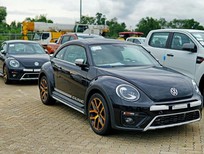 Volkswagen Beetle 2018 - Bán xe Volkswagen Beetle sản xuất 2018, màu đen, nhập khẩu nguyên chiếc