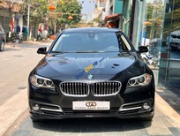Cần bán xe BMW 5 Series 2015 - Cần bán xe BMW 5 Series sản xuất 2015, màu đen
