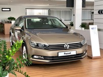 Bán xe oto Volkswagen Passat GP 2016 - Bán ô tô Volkswagen Passat GP 2016, màu vàng cát, nhập khẩu