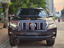 Toyota Prado   VX 2.7L  2019 - Cần bán lại xe Toyota Prado VX 2.7L đời 2019, màu đen, nhập khẩu