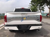 Cần bán xe Ford F 150 2015 - Bán nhanh với giá ưu đãi nhất chiếc Ford F150 sản xuất năm 2015, động cơ ổn định