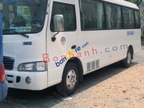 Cần bán xe Hyundai County    2009 - Bán xe Hyundai County sản xuất 2009, màu trắng