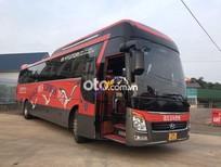 Hyundai Universe 2010 - Bán Hyundai Universe sản xuất 2010, màu đỏ, xe nhập