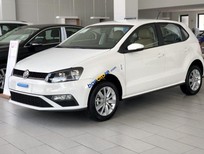 Cần bán Volkswagen Polo 2021 - Bán ô tô Volkswagen Polo 2021, màu trắng, nhập khẩu nguyên chiếc