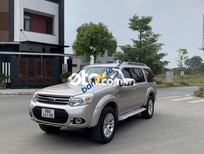 Bán xe oto Ford Everest  AT 2015 - Bán xe Ford Everest AT sản xuất năm 2015, màu bạc còn mới