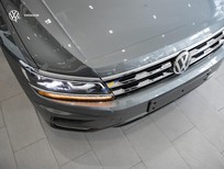 Volkswagen Tiguan 2022 - Xám Platinum, nội thất xám