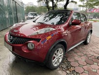 Nissan Juke 2013 - Nissan Juke 2013 tại 1