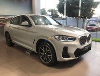 BMW X4 2022 - Đủ màu, giao xe ngay