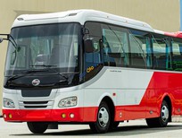 Cần bán xe Samco Allergo 2022 - Si.29 new