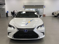 Cần bán Lexus ES 300 2022 - Bảo hành/bảo dưỡng miễn phí trong 5 năm - Bảo hành pin trong 7 năm