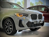 Bán xe oto BMW X4 2022 - Hót, ưu đãi cực tốt tại Bình Dương