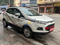 Bán Ford EcoSport 2014 - Màu trắng, biển tỉnh