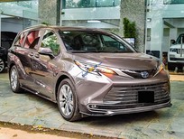 Toyota Sienna 2020 - Màu xám đặc biết hiếm có tại VN