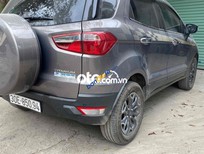 Ford EcoSport   2017 nâu một chủ từ đầu 2017 - ford ecosport 2017 nâu một chủ từ đầu
