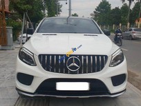 Bán Mercedes-Benz GLE 43 2019 - Là dòng xe siêu hiếm tại thị trường Việt Nam