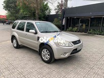 Ford Escape bán   2010 tự động chính chủ dùng 2010 - bán ford escape 2010 tự động chính chủ dùng