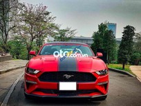 Bán Ford Mustang   2.2 Ecoboost nhập Mỹ 2019 HN 2019 - Ford Mustang 2.2 Ecoboost nhập Mỹ 2019 HN