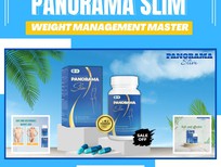 Honda Accord 2017 - Panorama Slim - Weight management master