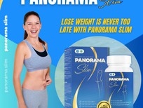 Bán xe oto Isuzu Midi 2017 - Lose weight is never too late with Panorama Slim