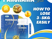 Audi 200 2019 2017 - How to lose 3 - 5kg easily with Panorama Slim