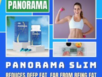 Bán xe oto Ford Acononline 2017 - Reduce inner belly fat with Panorama Slim