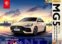 MG 2022 - Đổi màu kem cà phê kim loại/ Coffee Beige metallic