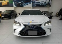 Lexus ES 300 2020 - Mới nhất thị trường, chạy cực ít