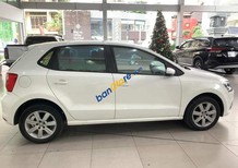 Volkswagen Polo 2016 - Nhập Ấn
