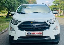 Ford EcoSport 2019 - Siêu lướt