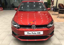 Volkswagen Polo 2021 - Xe Nhập Khẩu nguyên chiếc