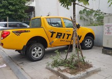 Mitsubishi Triton 2014 - Màu vàng, nhập khẩu số sàn, 315tr