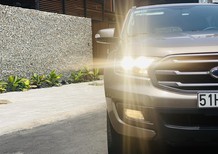 Ford Everest 2019 - Ford Everest 12/2019 Màu Vàng Cát nhập Thái Lan
