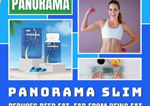Ford Acononline 2017 - Reduce inner belly fat with Panorama Slim
