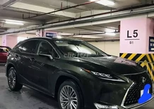 Lexus RX 300 2020 - CHÍNH CHỦ CẦN BÁN XE LEXUS RX 300 SẢN XUẤT NĂM 2020 