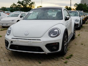 Volkswagen beetle là xe gì Cách bảo dưỡng và tìm mua xe