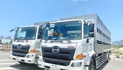 Hino FG 2022 - Chở gia súc - Tải chở 6550kg - Thùng dài 8,2 mét