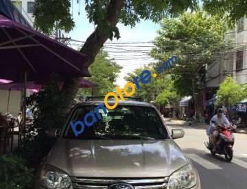 Ford Escape  2.3 AT 2009 - Cần bán xe Ford Escape 2.3 AT sản xuất 2009, xe nhập