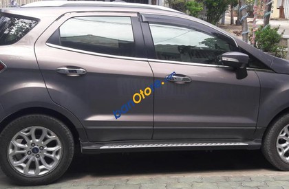 Ford EcoSport Titanium 2014 - Bán Ford EcoSport Titanium sản xuất 2014, màu xám chính chủ