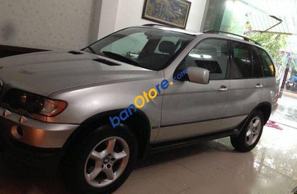 BMW X5 2003 - Bán BMW X5 sản xuất năm 2003, màu bạc